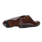 Sapato Social Oxford Bulle Whisky