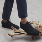 Sapato Masculino Brogue Pogi 