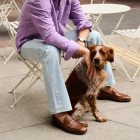 Sapato Social Loafer Conti Whisky