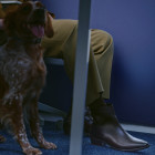 Bota Masculina Albion