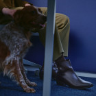 Bota Masculina Albion
