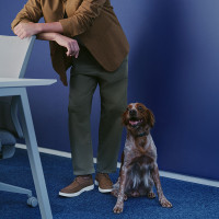 Sapato Masculino Derby Giorni Café