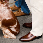 Sapato Social Loafer Affari Whisky