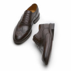 Sapato Social Oxford Rossore Café